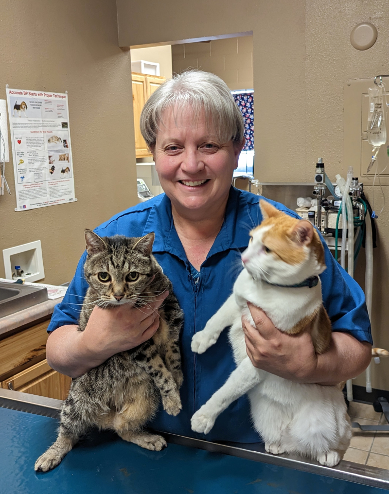 Veterinarian In Falcon CO 80831 | For Paws Veterinary Clinic